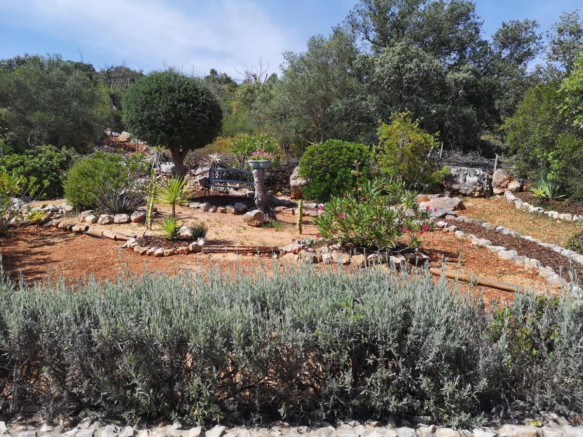 Quinta Da Familia Bed and Breakfast Λουλέ Εξωτερικό φωτογραφία